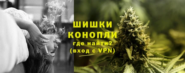 PSILOCYBIN Армянск