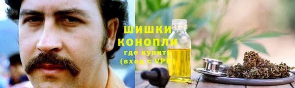 PSILOCYBIN Армянск