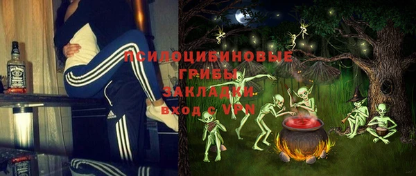 соль ск Краснослободск