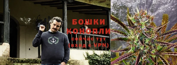 PSILOCYBIN Армянск