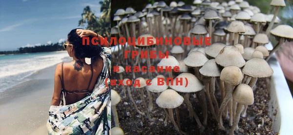 дурь Арсеньев