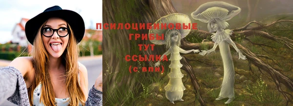 MESCALINE Аркадак