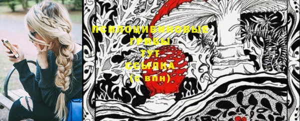 PSILOCYBIN Армянск