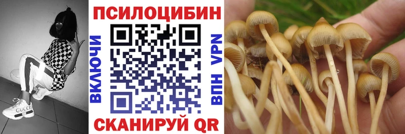 Купить где  Апшеронск  Псилоцибиновые грибы Psilocybe 